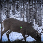 Nockturnal GT Lighted Nock Green (.246 Diameter) Pack of 3