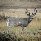 Nockturnal S Lighted Nock Red (.244 Diameter) Pack of 3
