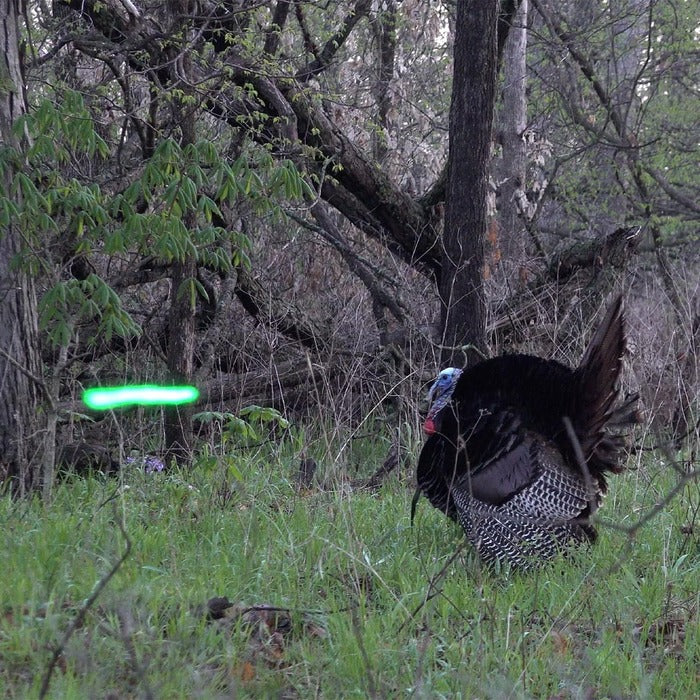 Nockturnal X Lighted Nock Green (.204 Diameter) Pack of 3