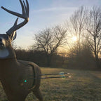 GlenDel Crossbow Buck 3D Archery Target Brown