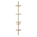 Rhino Hot Foot 24 Climbing Sticks Pack of 6