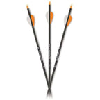 Carbon Express Gameslayer Carbon Arrows 400 Spine 30" Pack of 12