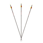 Carbon Express Maxima  Carbon Arrows 350 Spine 32" Pack of 6