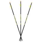 Carbon Express D-Stroyer Carbon Arrows 400 Spine 32" Pack of 6
