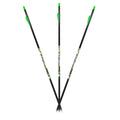 Carbon Express D-Stroyer Piledriver Carbon Arrows 400 Spine 32" Pack of 6