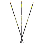 Carbon Express D-Stroyer Carbon Arrows 500 Spine 32" Pack of 6