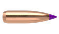 Nosler .243 Diameter 80 Grain Polymer Tip Ballistic Tip 100 Count Bullets