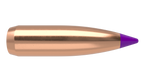 Nosler .243 Diameter 80 Grain Polymer Tip Ballistic Tip 100 Count Bullets