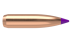 Nosler .243 Diameter 95 Grain Polymer Tip Ballistic Tip 50 Count Bullets