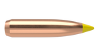 Nosler .277 Diameter 150 Grain Polymer Tip Ballistic Tip 50 Count Bullets