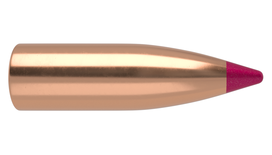 Nosler .204 Diameter 32 Grain Polymer Tip Ballistic Tip 100 Count Bullets