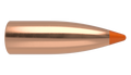 Nosler .224 Diameter 40 Grain Polymer Tip Ballistic Tip 100 Count Bullets