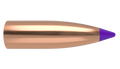 Nosler .243 Diameter 55 Grain Polymer Tip Ballistic Tip 100 Count Bullets