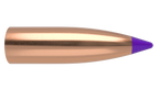Nosler .243 Diameter 55 Grain Polymer Tip Ballistic Tip 100 Count Bullets