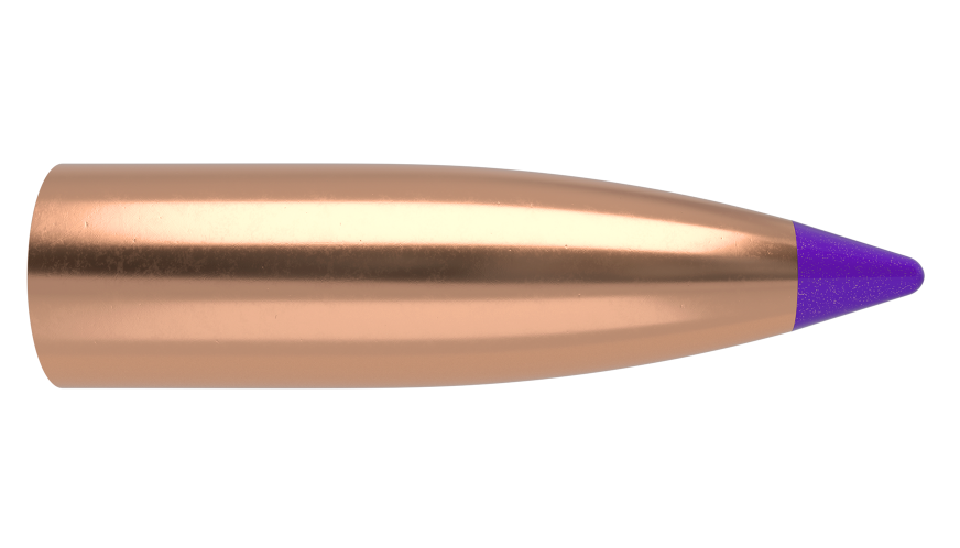 Nosler .243 Diameter 55 Grain Polymer Tip Ballistic Tip 100 Count Bullets