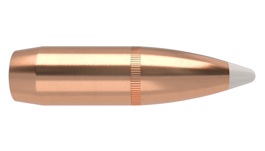 Nosler .375 Diameter 300 Grain Polymer Tip AccuBond 50 Count Bullets