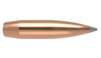 Nosler .308 Diameter 210 Grain Polymer Tip AccuBond Long Range 100 Count Bullets