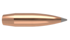 Nosler .308 Diameter 190 Grain Polymer Tip AccuBond Long Range 100 Count Bullets