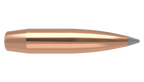 Nosler .284 Diameter 175 Grain Polymer Tip AccuBond Long Range 100 Count Bullets