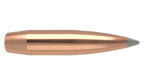 Nosler .284 Diameter 168 Grain Polymer Tip AccuBond Long Range 100 Count Bullets