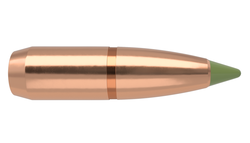 Nosler .308 Diameter 150 Grain Polymer Tip E-Tip 50 Count Bullets