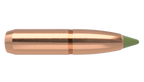 Nosler .284 Diameter 150 Grain Polymer Tip E-Tip 50 Count Bullets