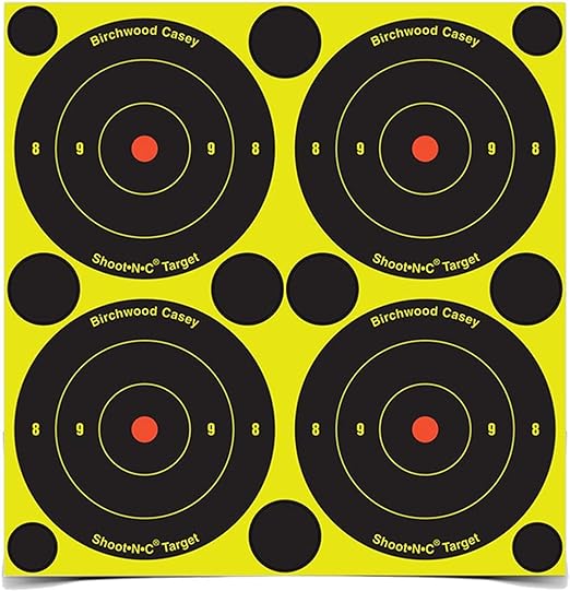 Birchwood Casey EZE-Scorer Bullseye Target 12" Pack of 13