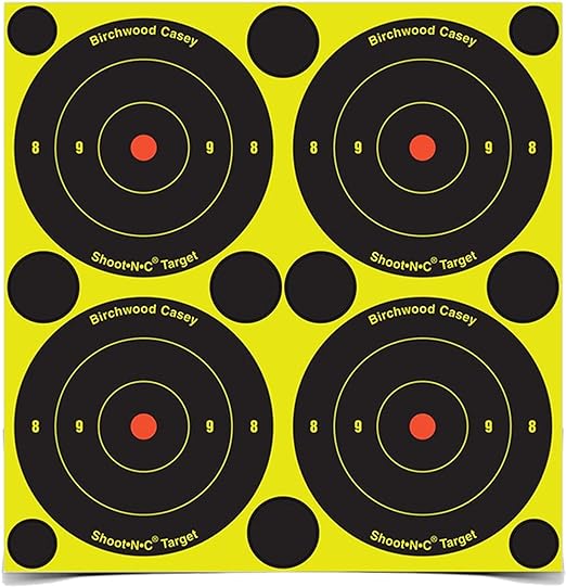 Birchwood Casey EZE-Scorer Sight In Target 12" Pack of 13