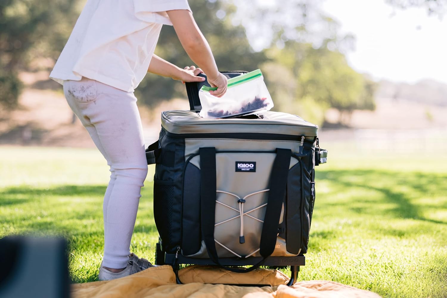 Igloo Maxcold Voyager 40 Can Softside Cooler Gray