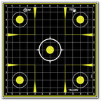 Allen EZ-Aim Splash Sight In Reactive Target 12" Pack of 30