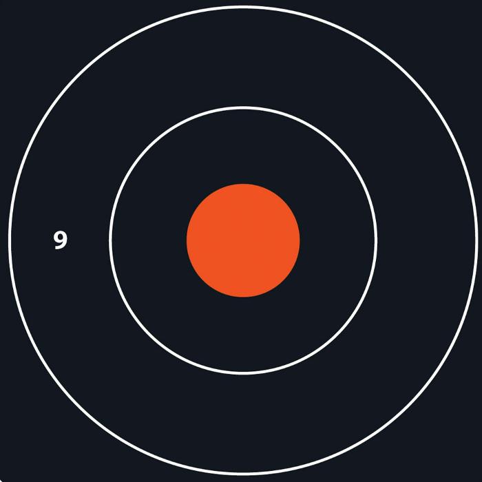 Allen EZ-Aim Bullseye Target 12" Pad of 100