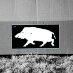 Allen EZ-Aim Thermal Grid Boar Adhesive Target 24"x12"