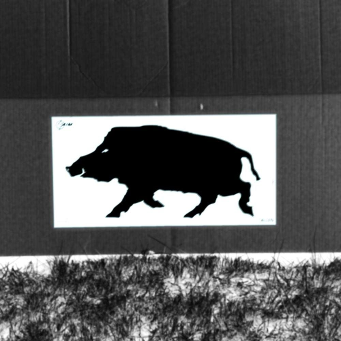 Allen EZ-Aim Thermal Grid Boar Adhesive Target 24"x12"