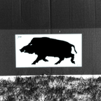 Allen EZ-Aim Thermal Grid Boar Adhesive Target 24"x12"