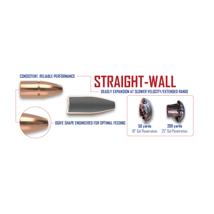 Nosler Ammunition 45-70 Government 300 Grain Straight-Wall Jacketed Soft Point 20 Count