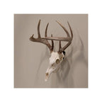 Allen EZ Mount Skull Trophy Mount Steel Black