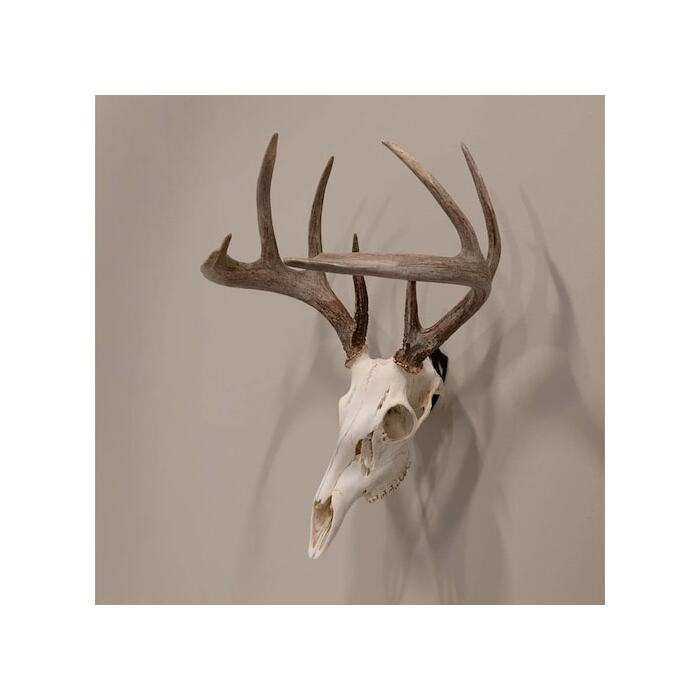 Allen EZ Mount Skull Trophy Mount Steel Black