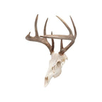 Allen EZ Mount Skull Trophy Mount Steel Black