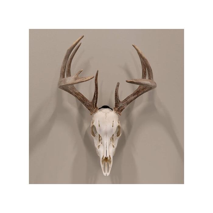 Allen EZ Mount Skull Trophy Mount Steel Black