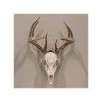 Allen EZ Mount Skull Trophy Mount Steel Black