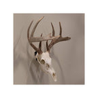 Allen EZ Mount Skull Trophy Mount Steel Black