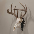 Allen EZ Mount Skull Peg European Mount Bracket Steel Black