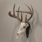 Allen EZ Mount Skull Peg European Mount Bracket Steel Black