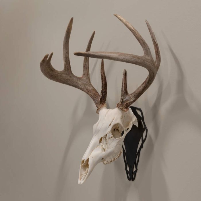 Allen EZ Mount Skull Peg European Mount Bracket Steel Black
