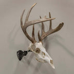 Allen EZ Mount Trophy Skull Hanger European Mount Bracket Steel Black