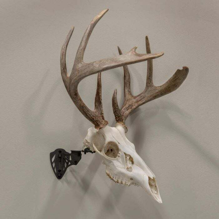 Allen EZ Mount Trophy Skull Hanger European Mount Bracket Steel Black
