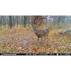 Stealth Cam  Fusion X Pro Trail Camera 36 MP Gray