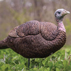 Primos Lil Gobstopper Hen Turkey Decoy