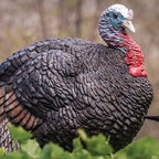 Primos Lil Gobstopper Jake Turkey Decoy