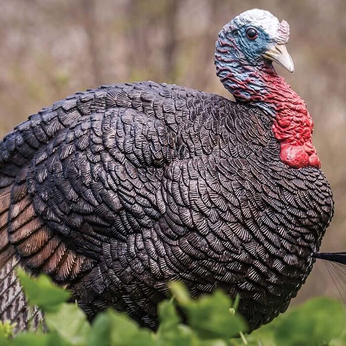 Primos Lil Gobstopper Jake Turkey Decoy